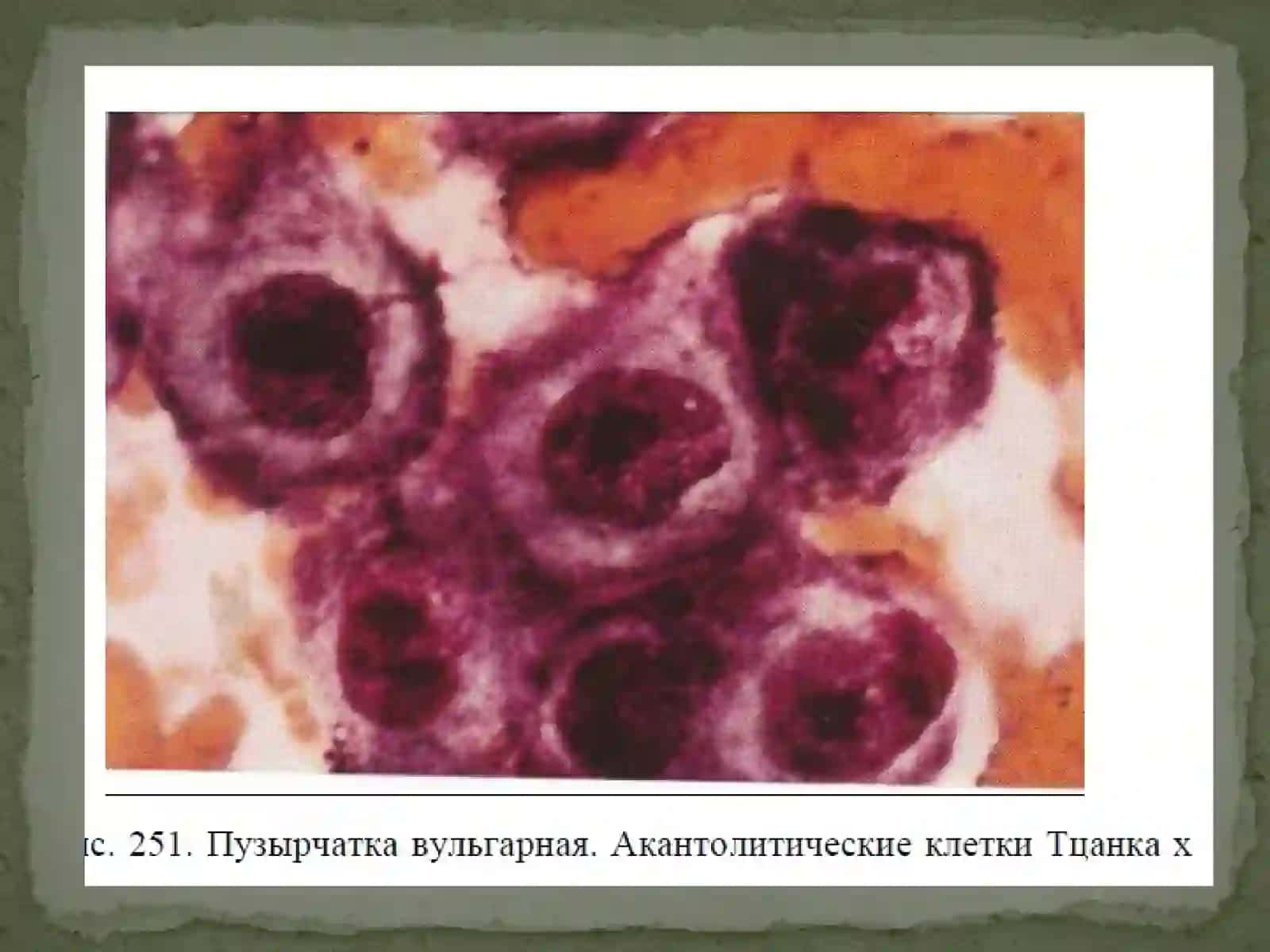 Po'rsildoq 4