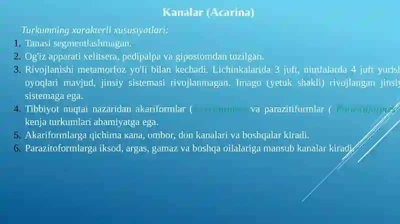 Tibbiyotda ahamiyatga ega bo’lgan o‘rgimchaksimonlar: qishloq KANASI , QICHIMA KANA , IT VA TAYGA KANALARI 4