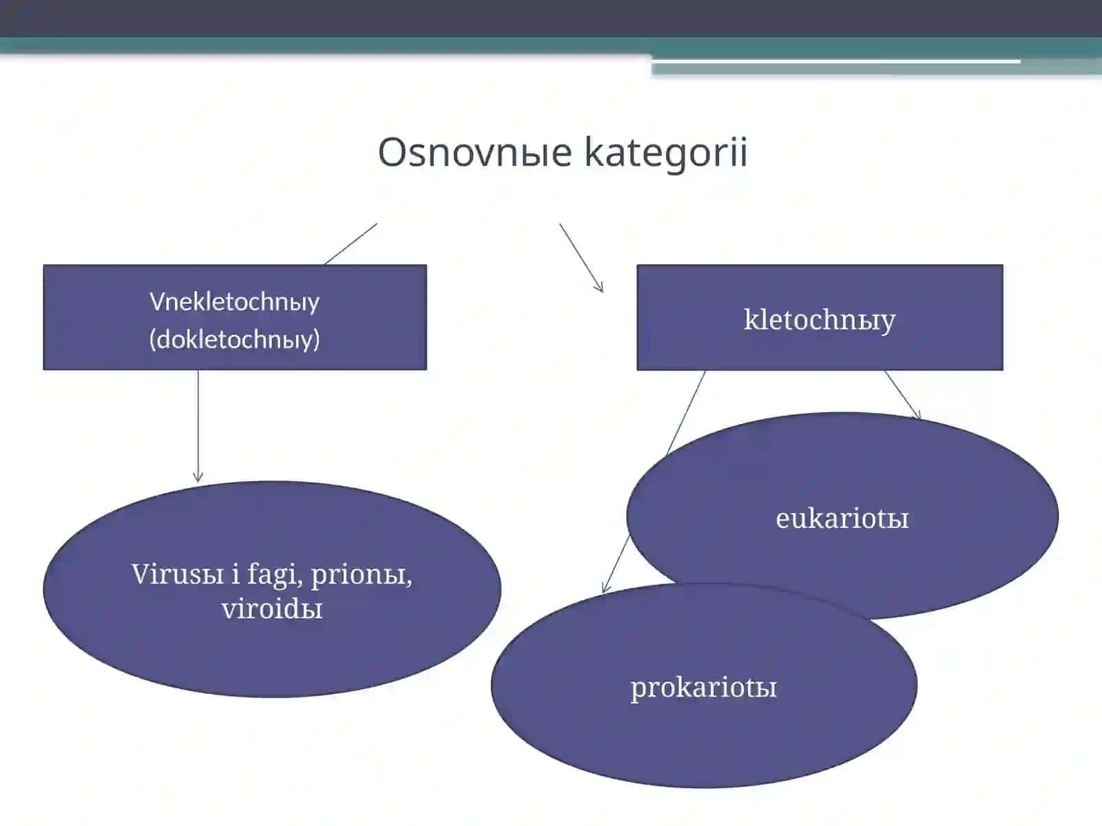Tibbiy biologiyada sistematika asoslari 4