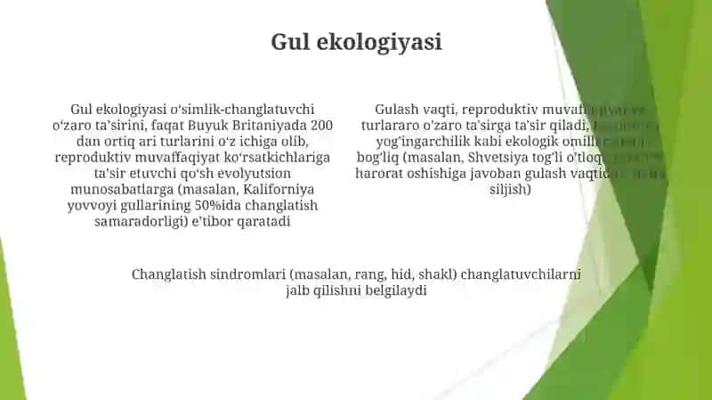 Gul 4