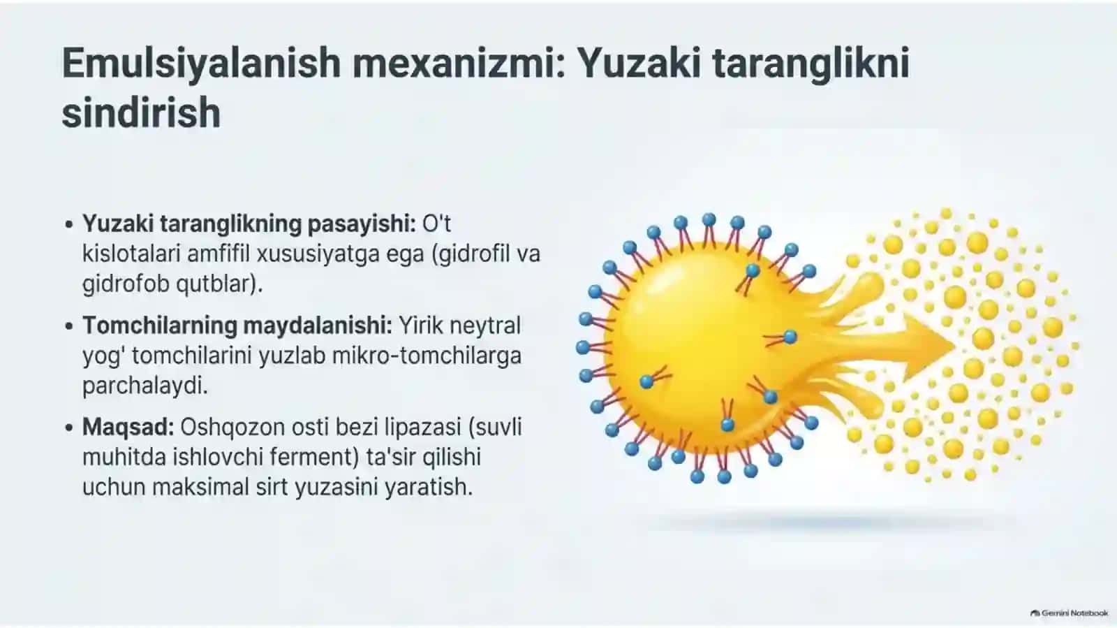 Xoletsistitlarda yog‘lar hazmlanishining buzilishi — 15 slayd 4