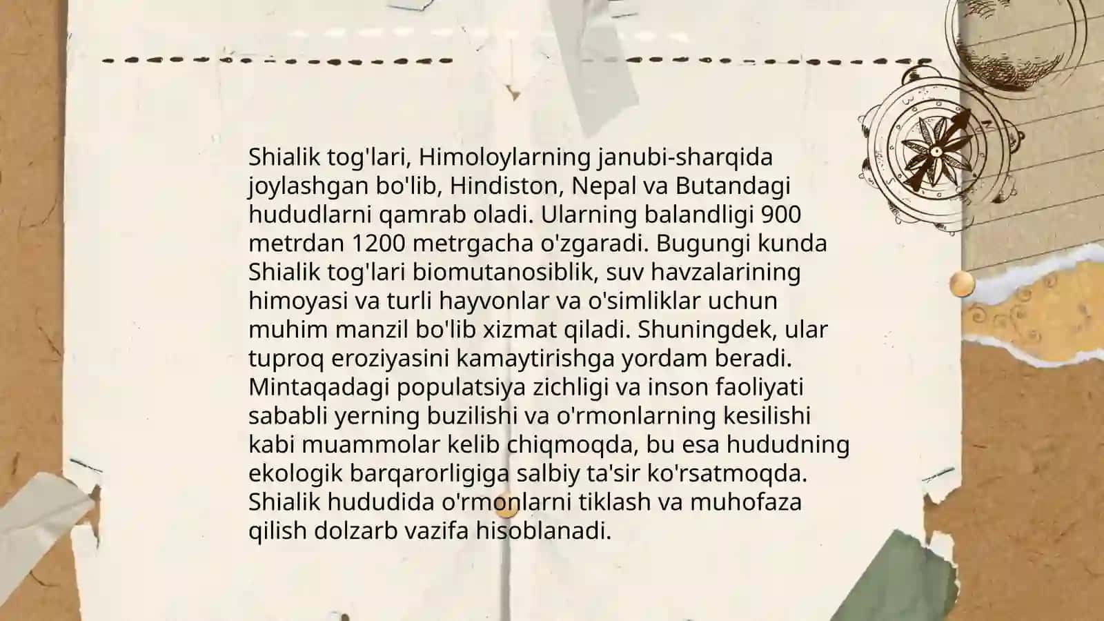 Sunnizmning zamonaviy holati 4