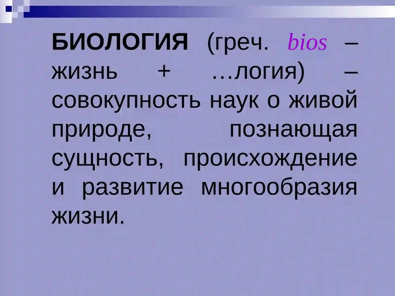 Введение в анатомию 4
