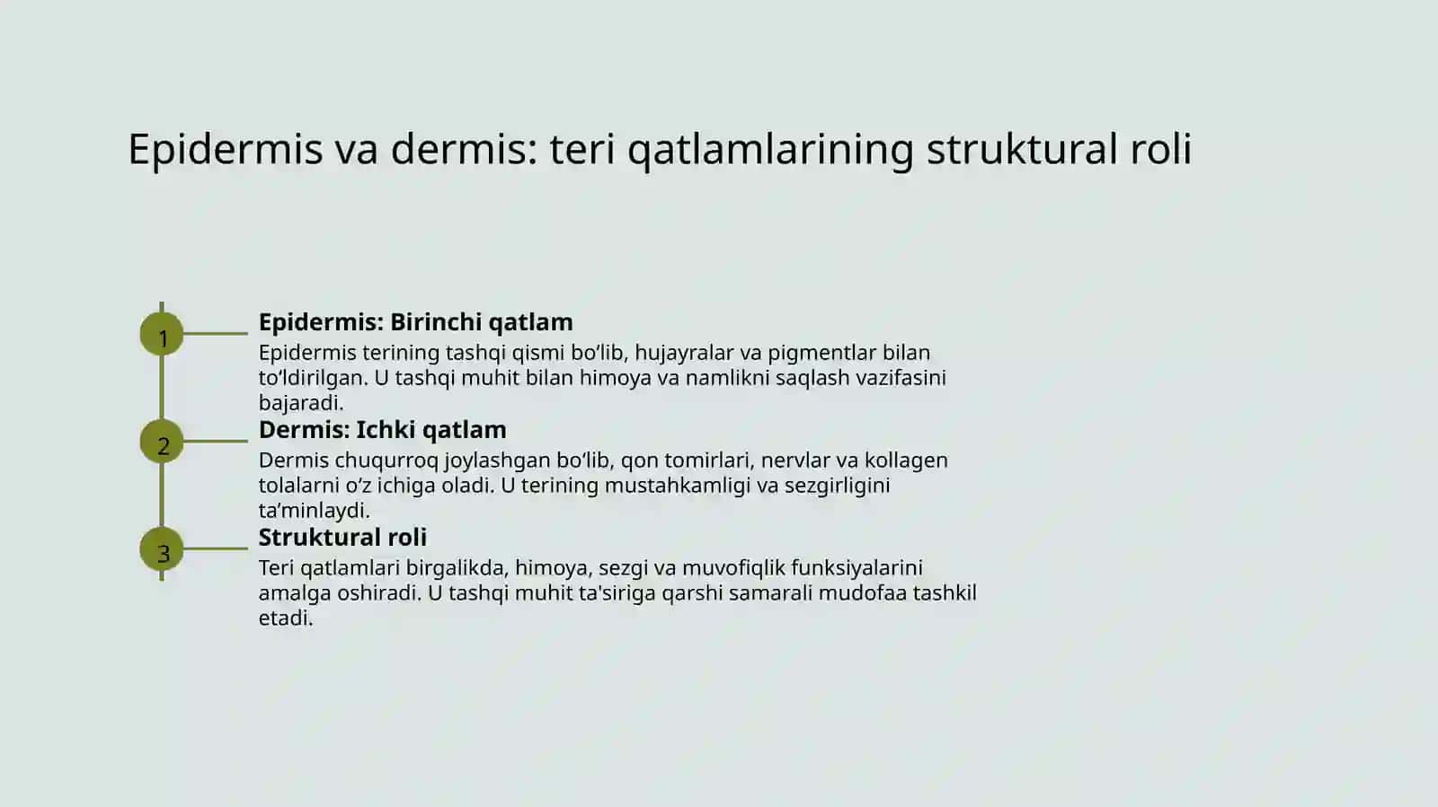 Teri anatomiyasi, gistologiyasi 4