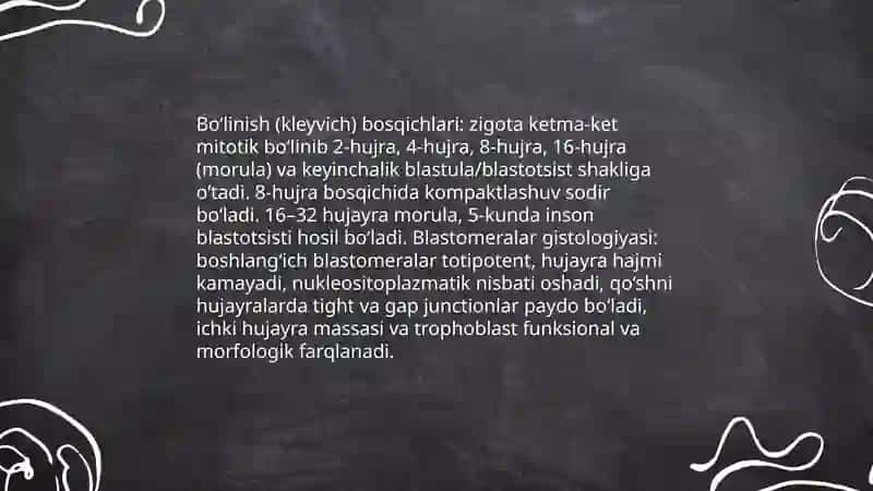 Embiriyonal rivojlanish bosqichlari gistalogiyasi 4
