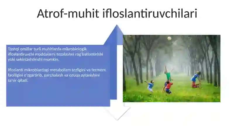 Mikroorganizmlar faoliyatiga tashqi faktorlar ta'siri 4