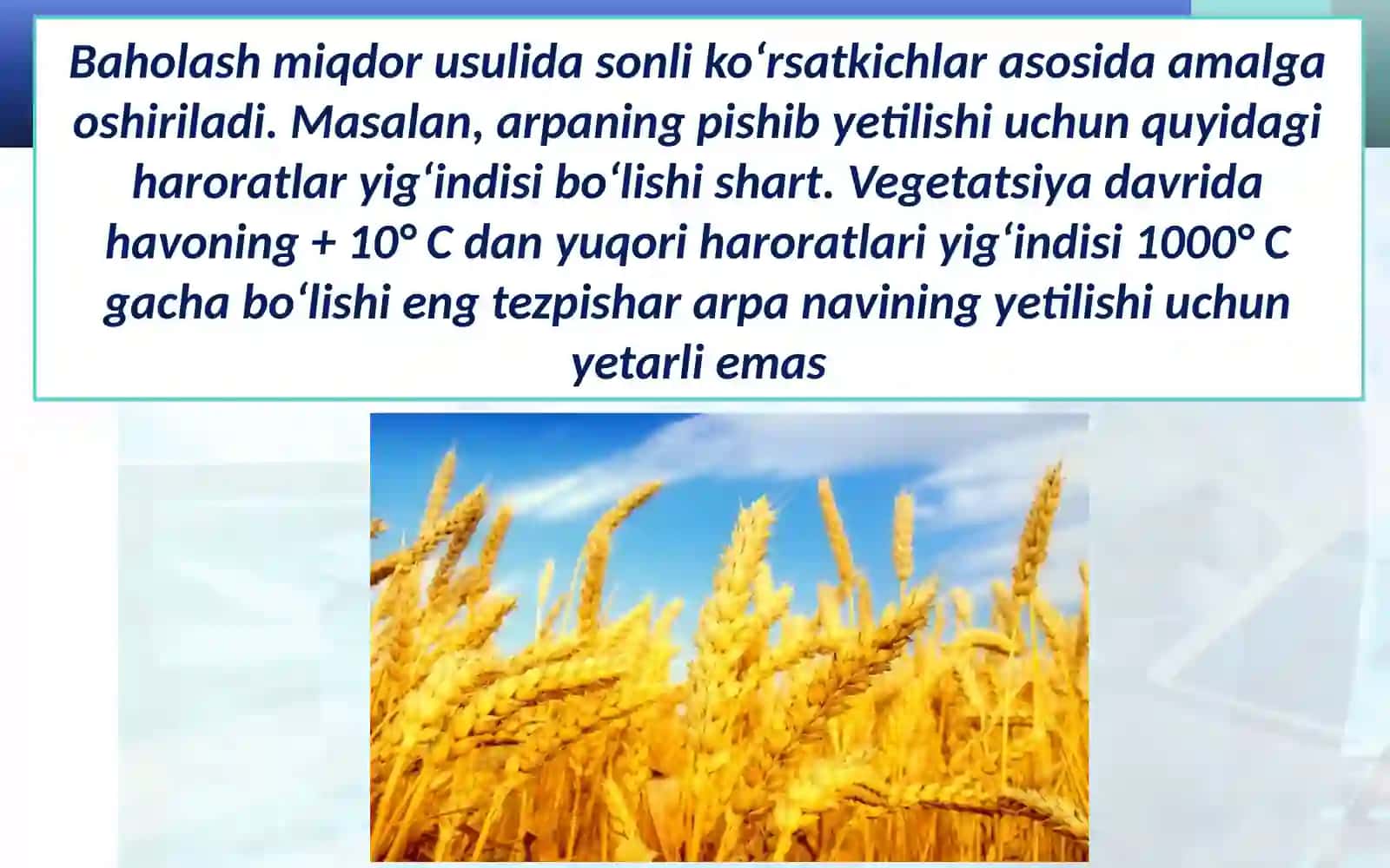 Geografik baholash 4