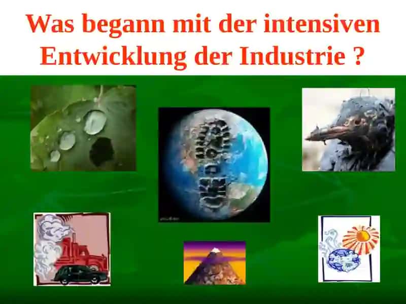 Ökologie 4