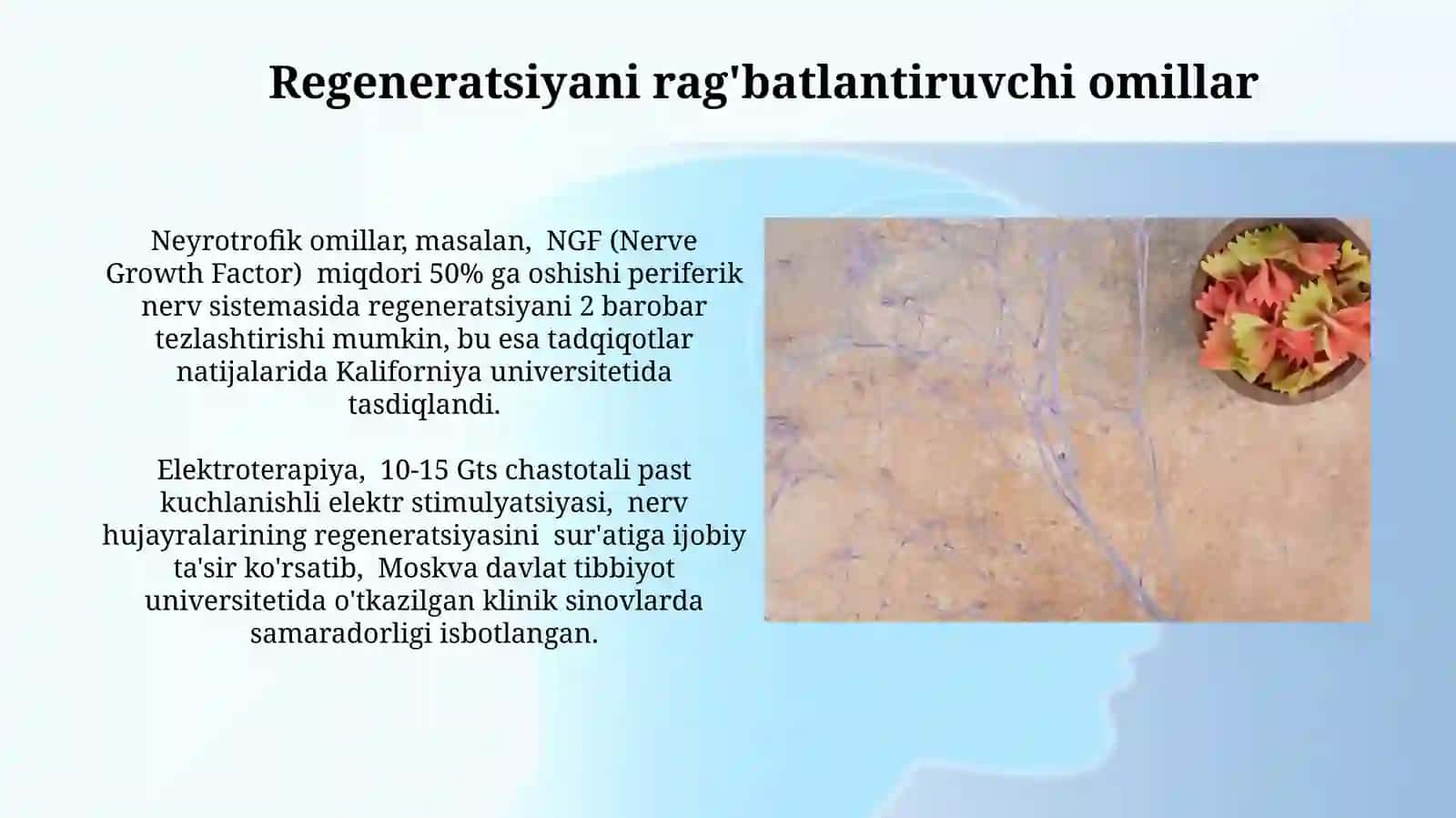 Nerv toalasing regertatsiyasi va degeratsiyasi 4