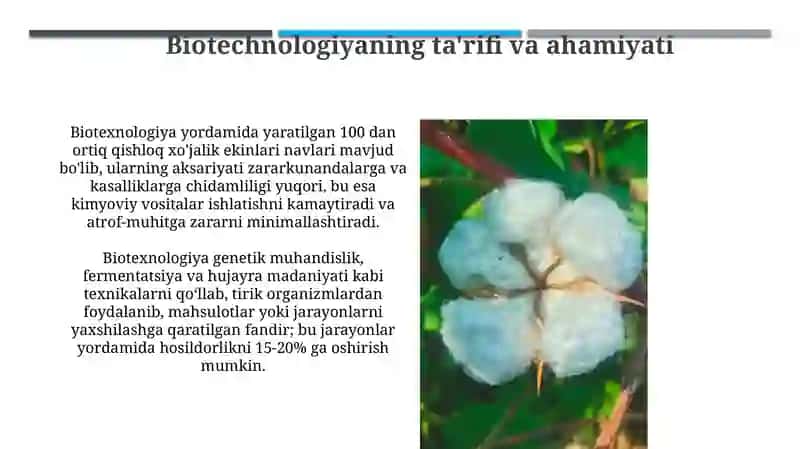 Qoramollarning seleksiyasida biotexnologiyadan foydalanish 4