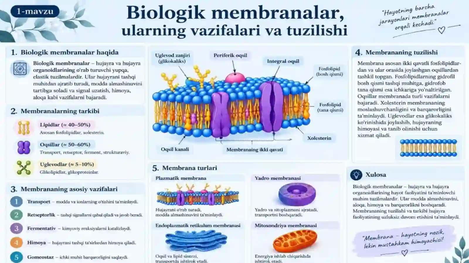 ToshkentDavlatTibbiyotUniversitetiTAYYORLAGAN MUSTAQIL ISHI 4
