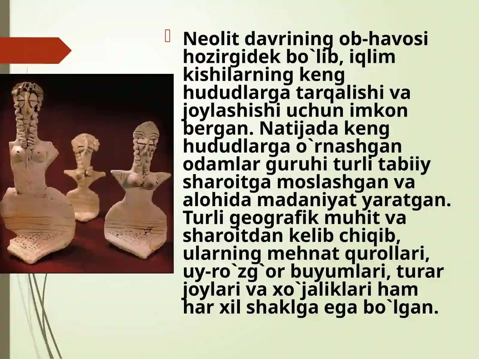 Arxologiya va etnologiya fanidan:O`rta Osiyoda Neolit davri 4