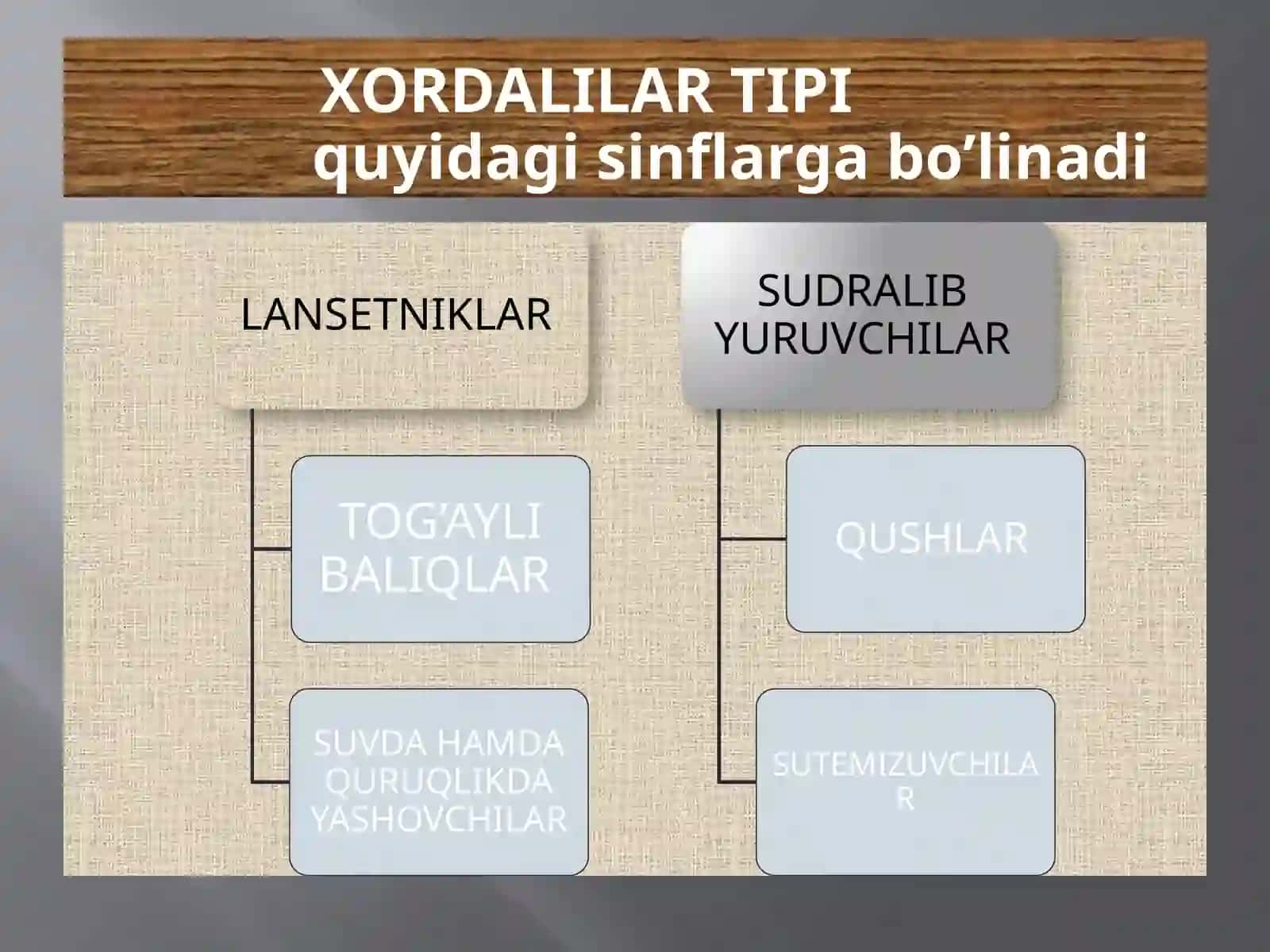 Xordalilartipi 4