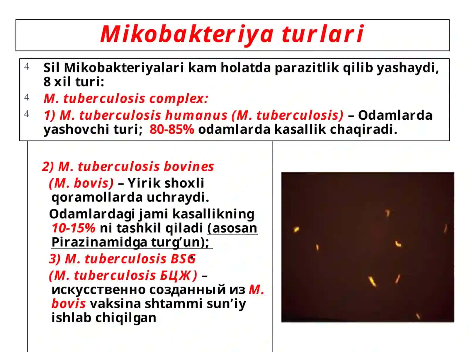 FTTIZIATRIYA KAFEDRASI 4