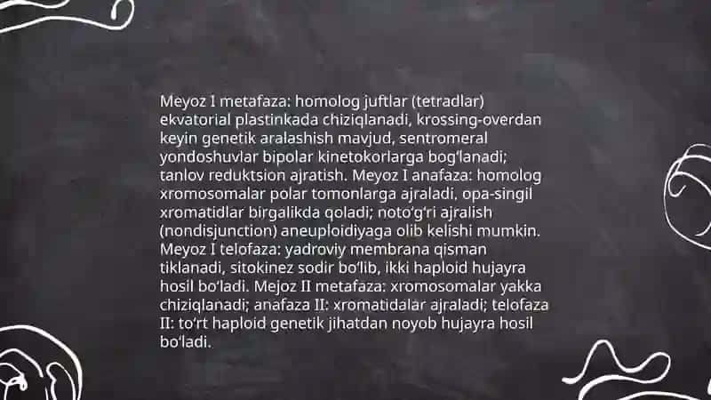 Hujayra meyotik boʻlinishi 4