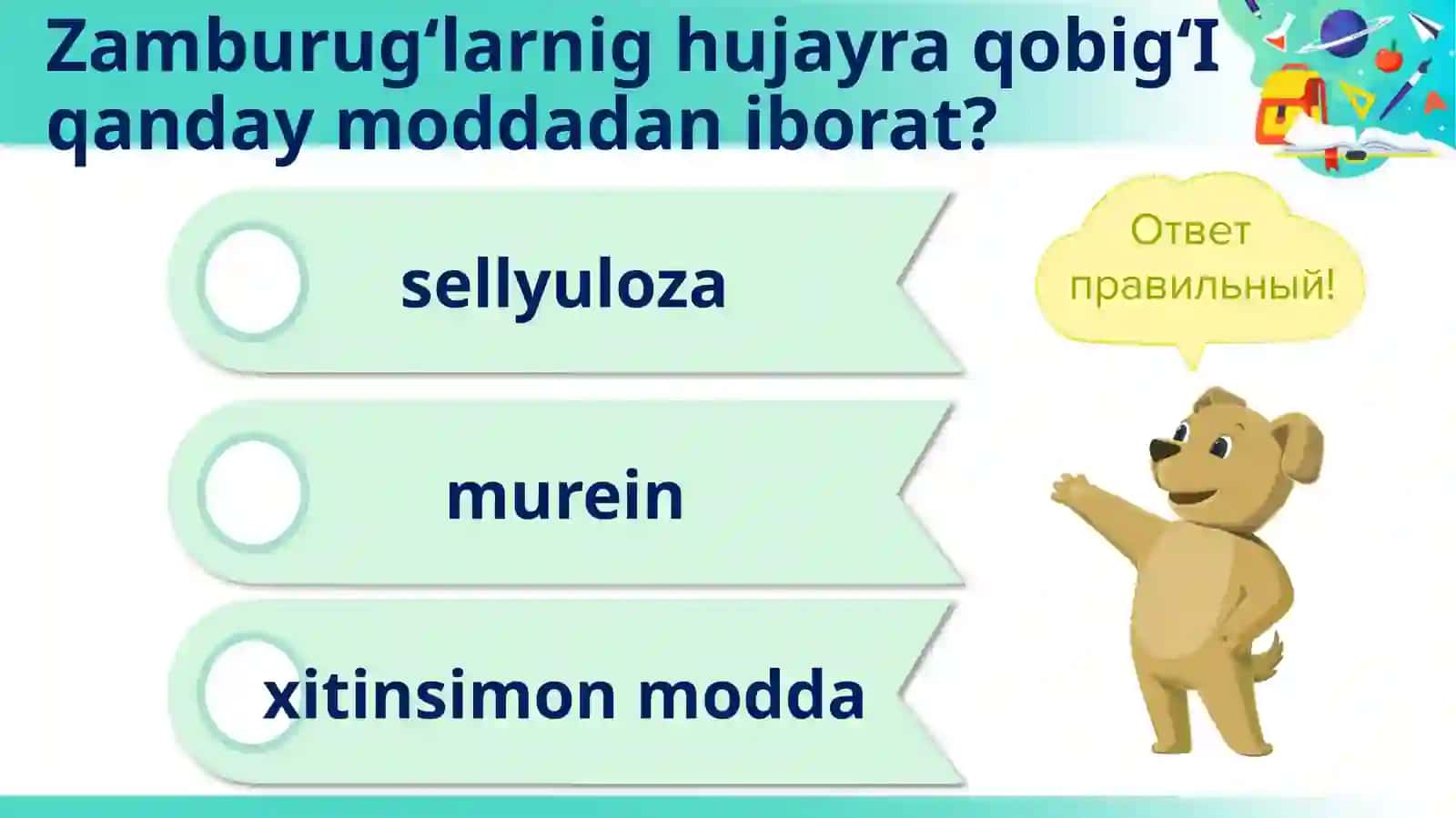 10-sinf Biologiya Sitoplazma, Hujayraning membranasiz va membranali organoidlari 4