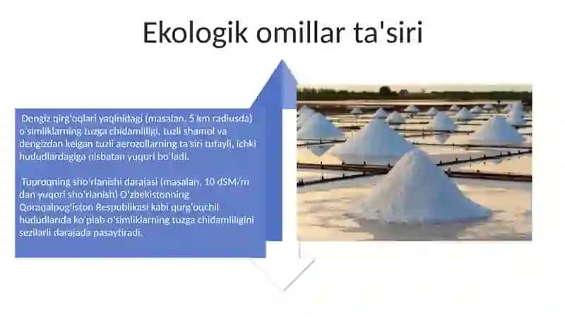 Osimliklarni shoʼrlanishga chidamliligi 4