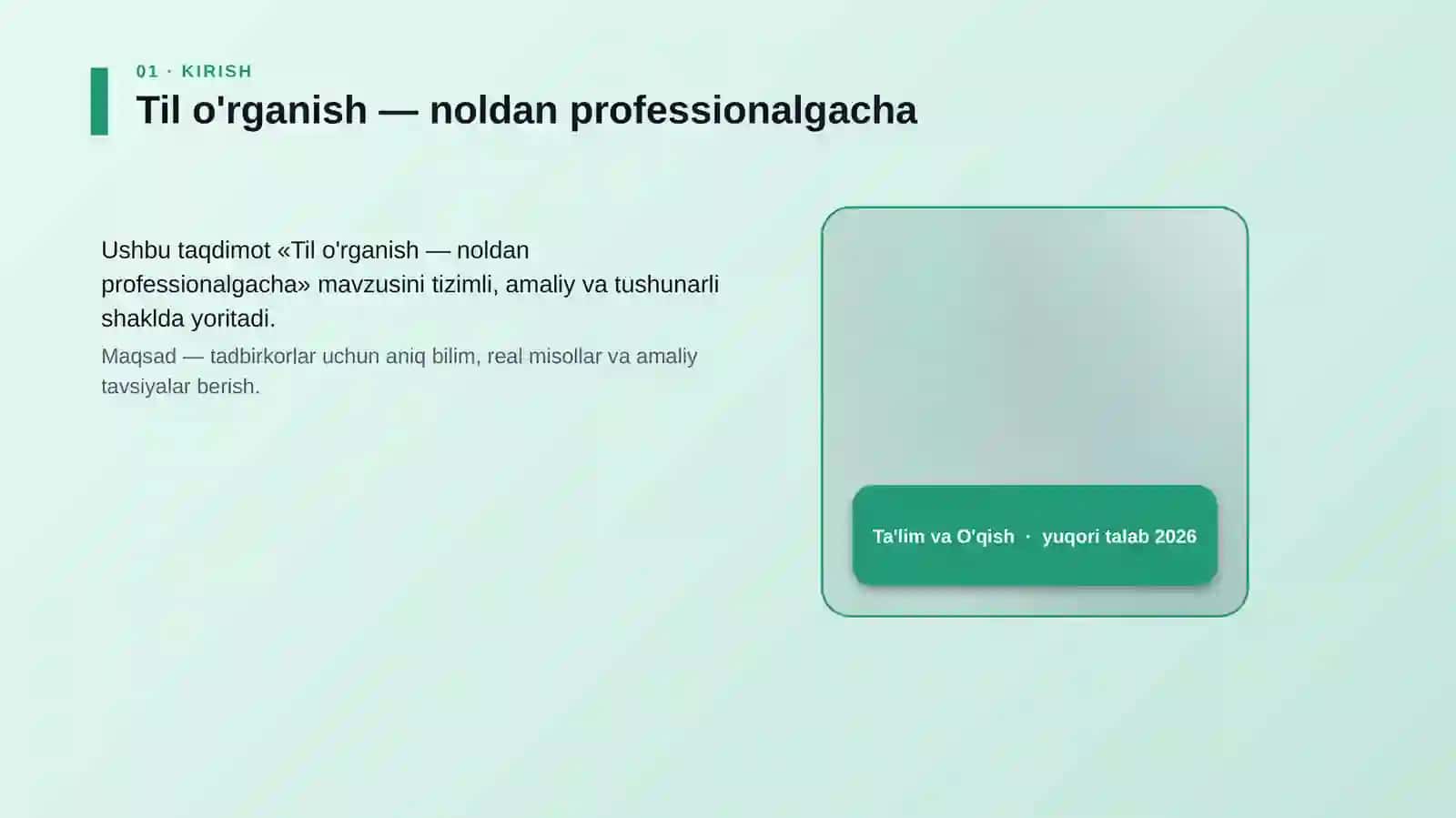 Til o'rganish — noldan professionalgacha 4
