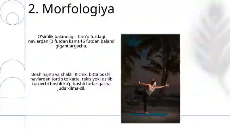 Behini standartga kiritlgan navlarini xarakteristikam 4