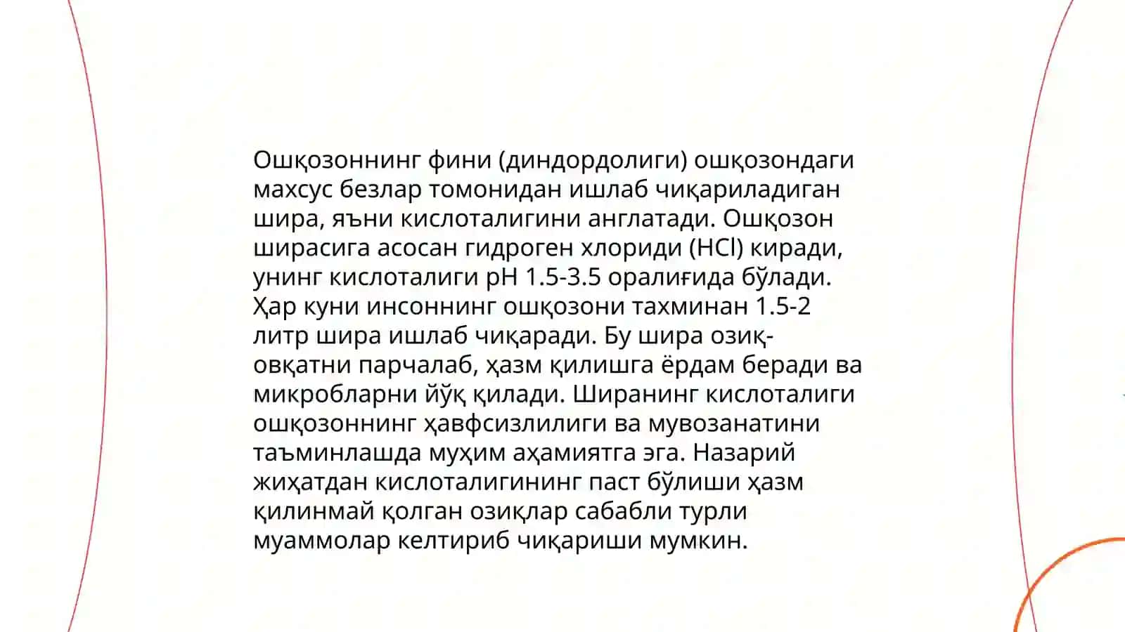 Пищевод, желудок, тонкая и толстая кишки 4