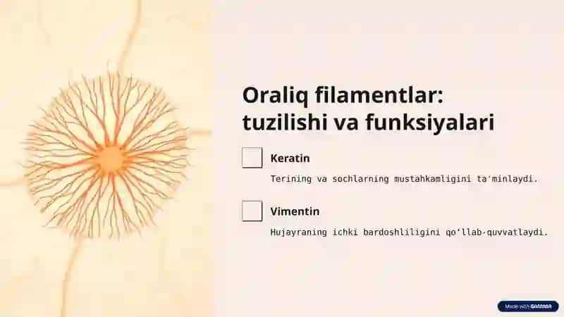Sitoskeletning asosiy elementlari 4
