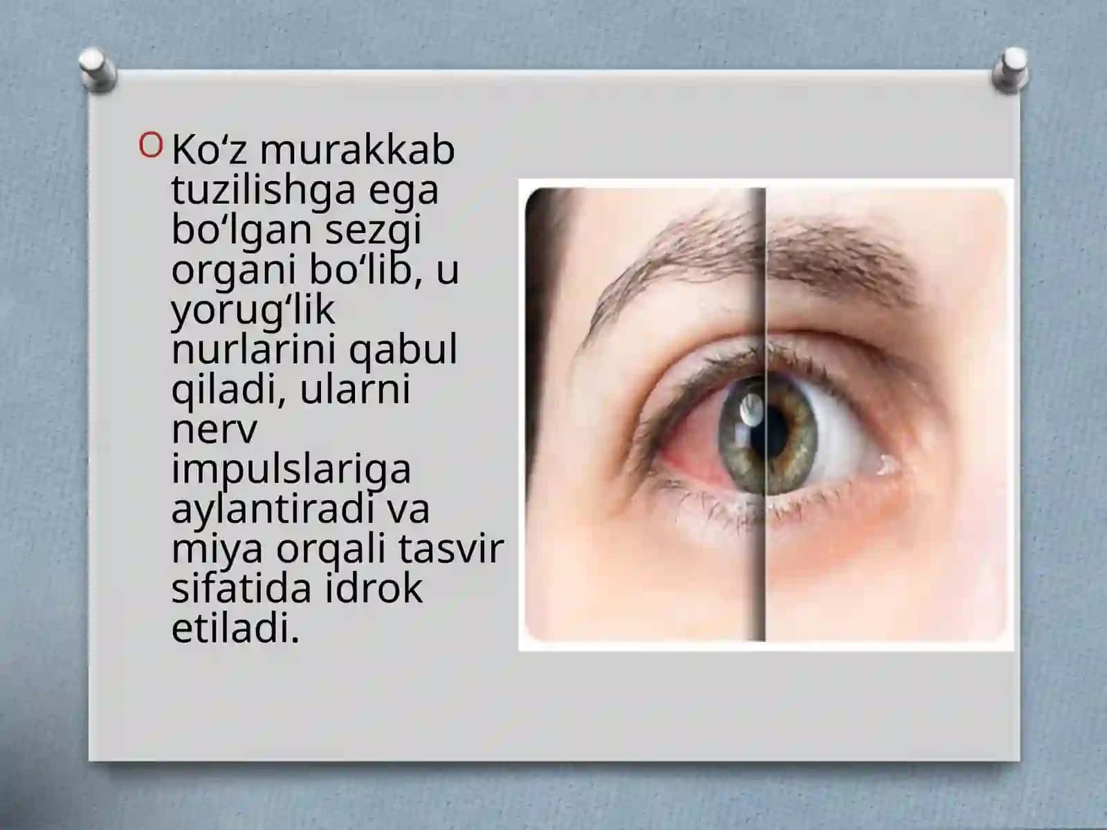 Ko‘z kasalliklarining oldini olish va davolash usullari 4
