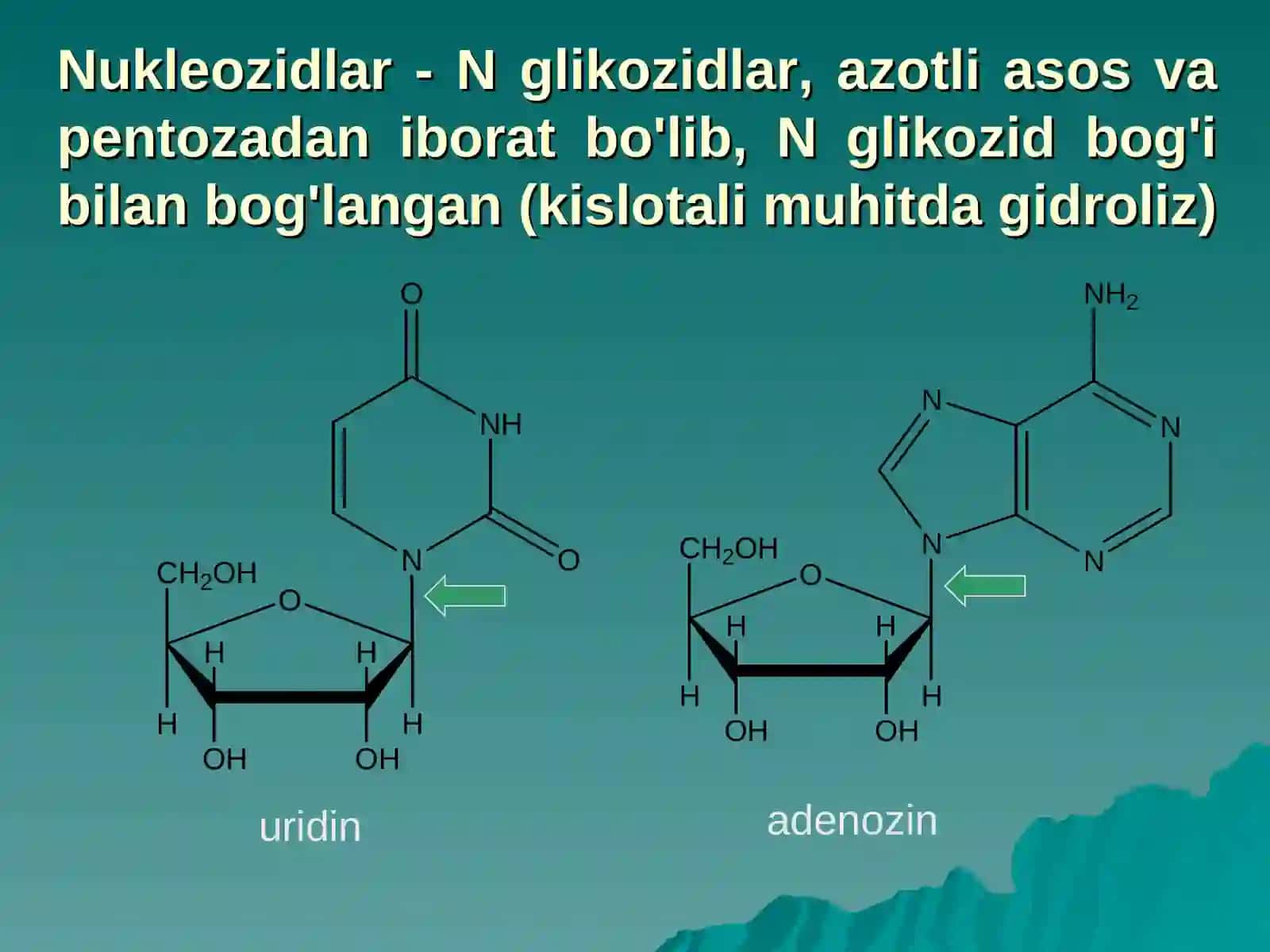 Nukleotidlar almashinuvi 4