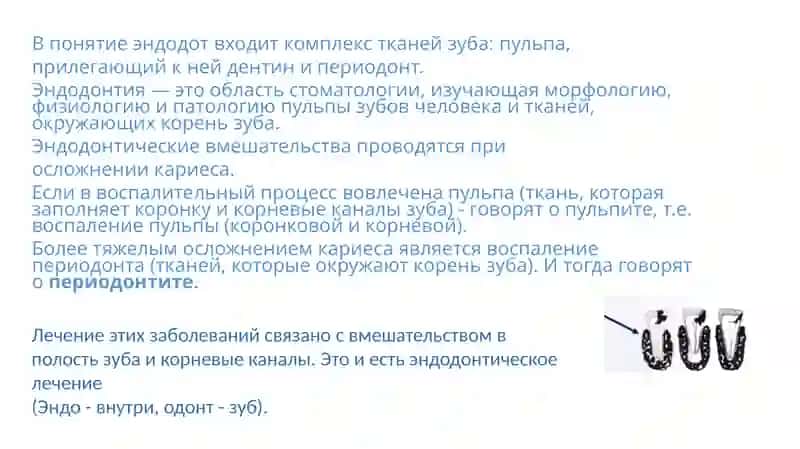 Первичная Эндодонтия 4