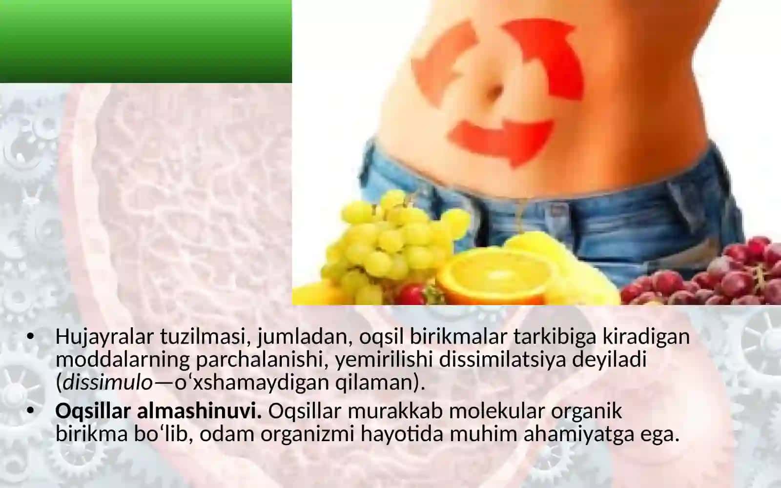 “Moddalar va energiya almashinuvi haqida umumiy tushuncha” mavzusida 8-sinf biologiya fanidan dars ishlanma. 4