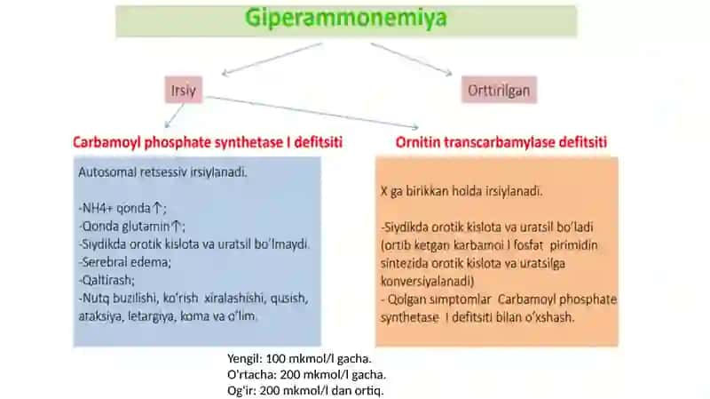 Giperammoniemiyaturlari 4