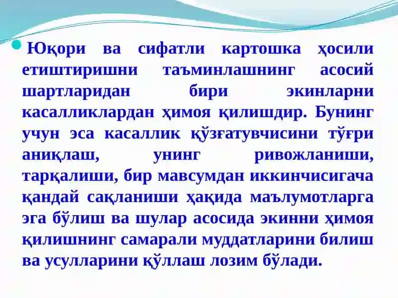 КАРТОШКА КАСАЛЛИКЛАРИ ВА УЛАРГА  ҚАРШИ КУРАШ ЧОРАЛАРИ 4
