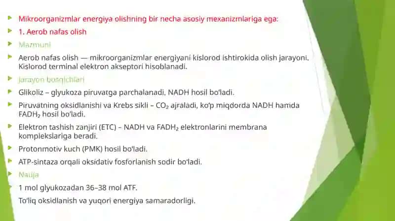 Mikrobiologiya 4