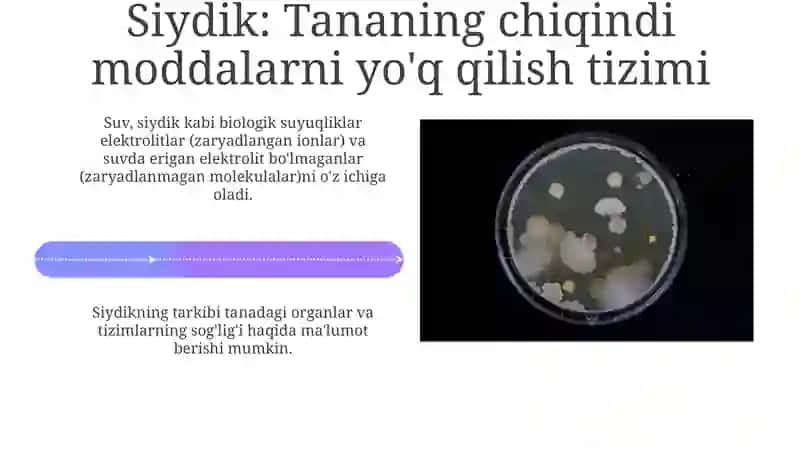 Organizmning biologik suyuqliklari eliktirolit va noeliktirolitlar eritmalari sifatida 4