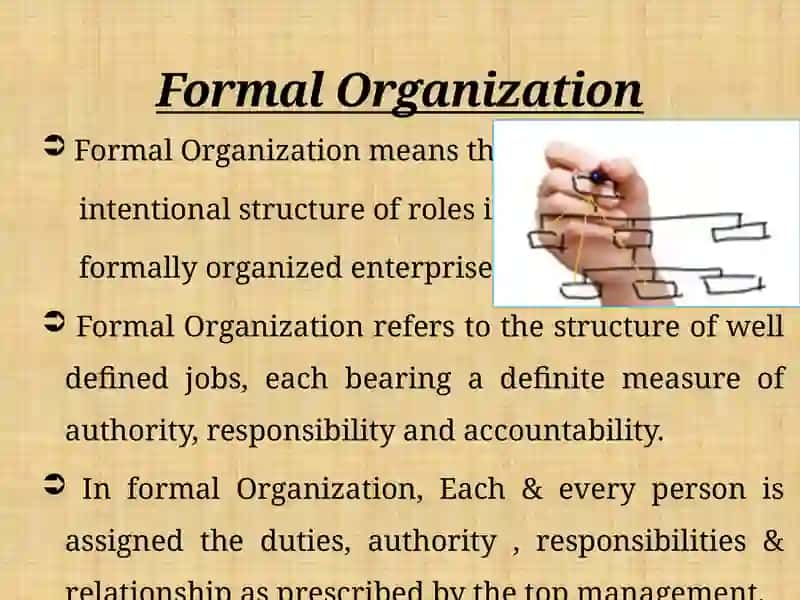 Organization 4