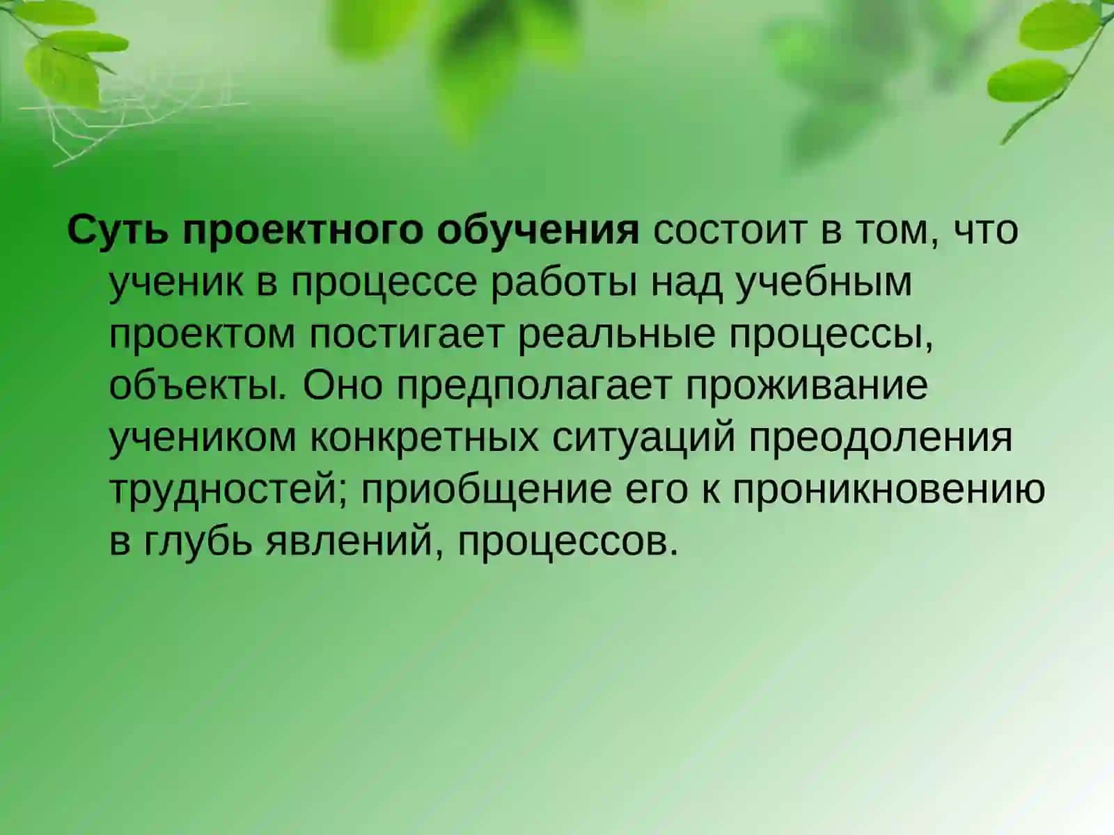 Проектная деятельность в начальной школе 4