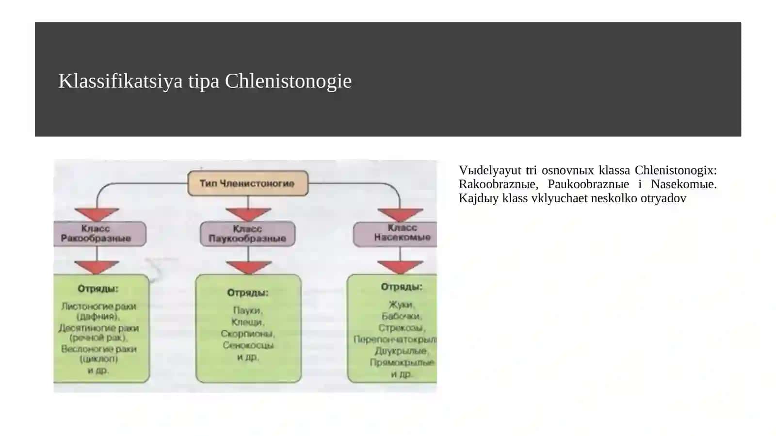 Tibbiy parazitologiya - o'rgimchaksimonlar va hasharotlar 4