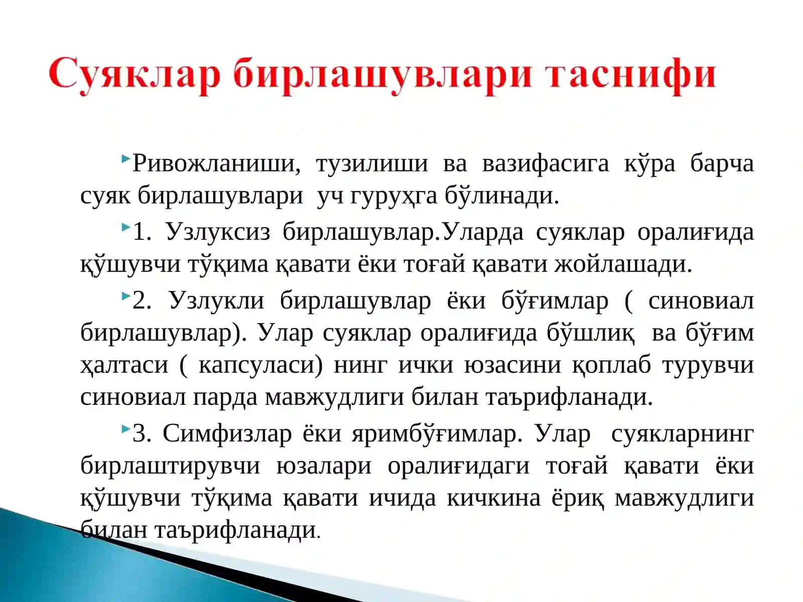 Анатомия фани 4