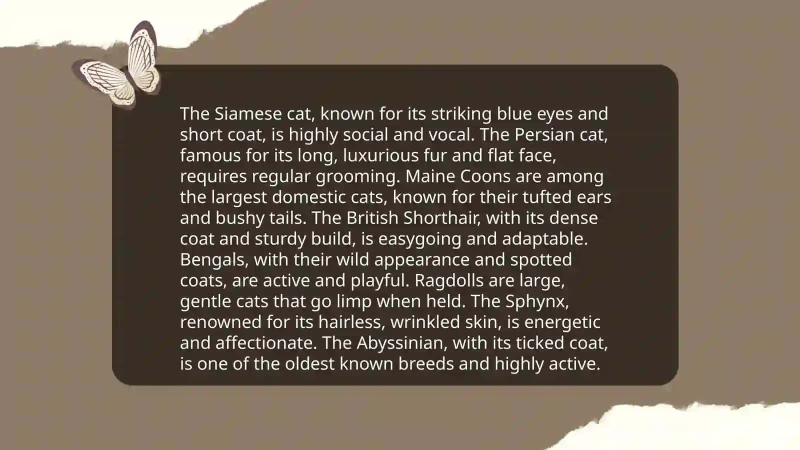About cats 4