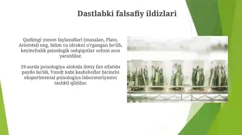 Ijtimoiy Psixologiya: Ijtimoiy Ta'sirni Tushunish 4