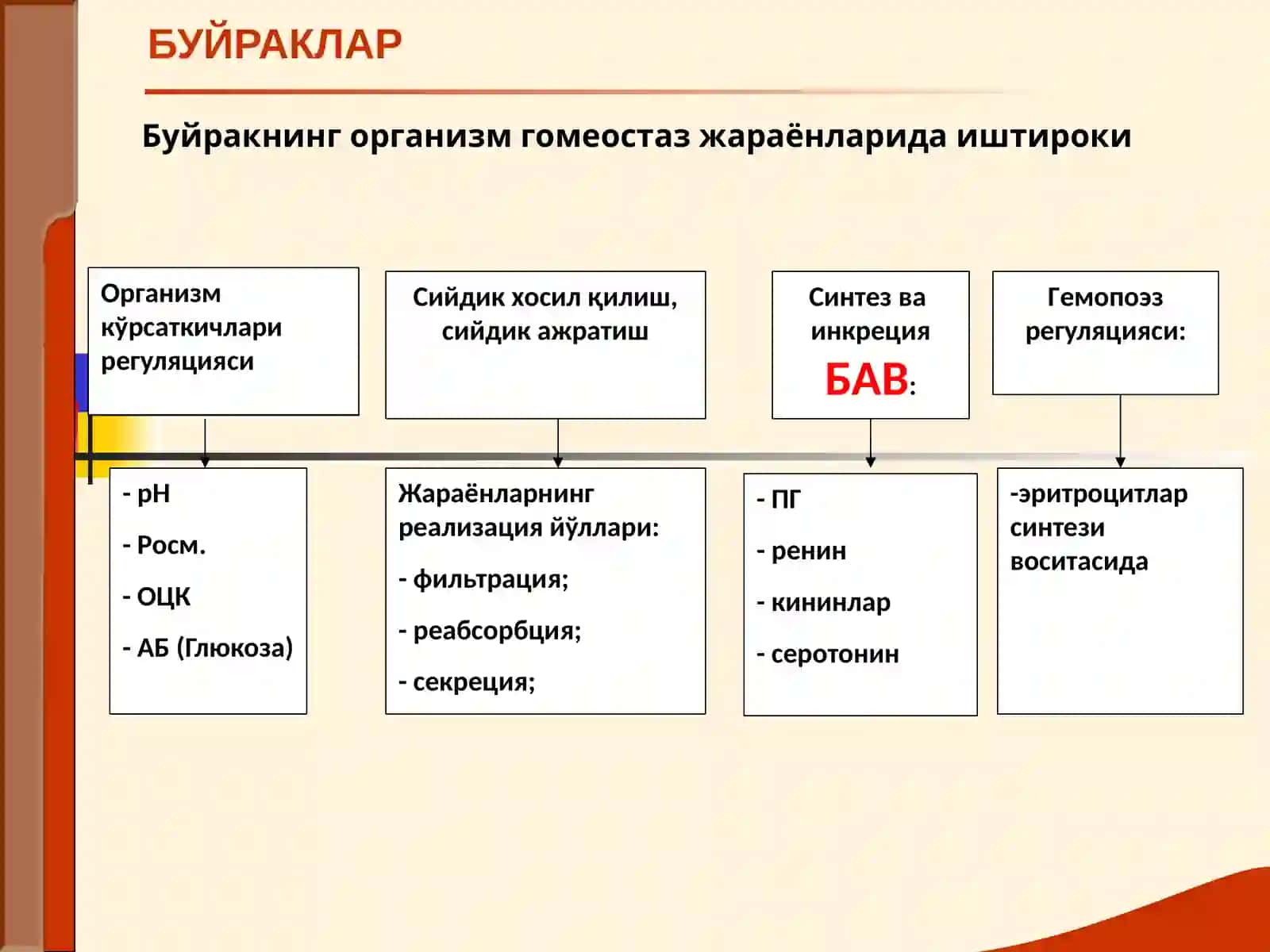 Буйрак Касалликлари 4