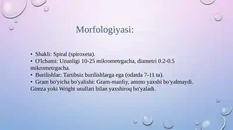 Borrelyoz (Layma-kasalligi) 4