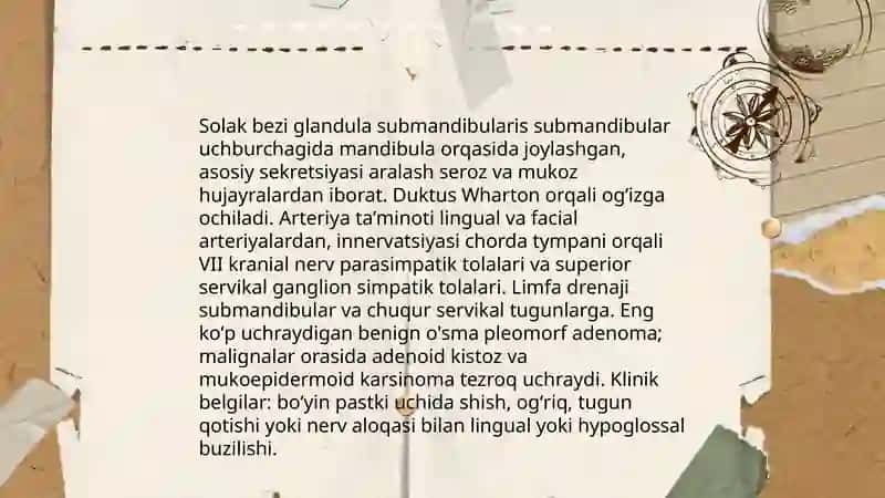Solak bezining anatomiyasi va o'smalarning klinik ahamiyati 4