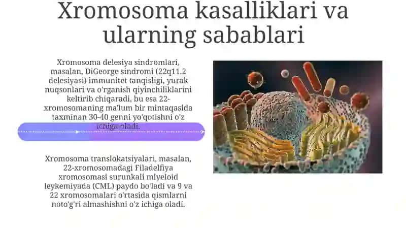 Hujayra tuzilishi nazariyasi 4