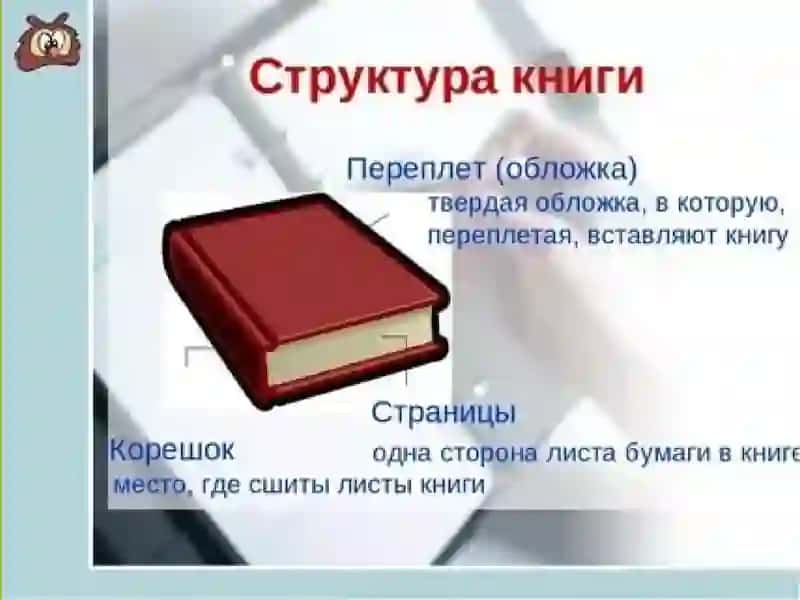 Книга 4
