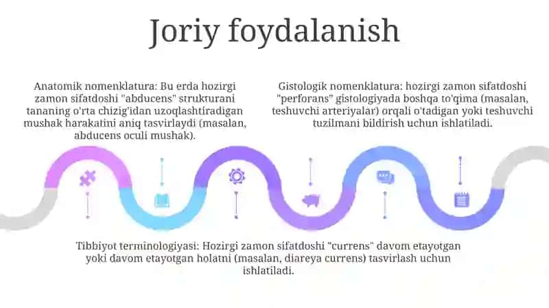 Anatomik Va Gistalogik Nomenklaturalar 4