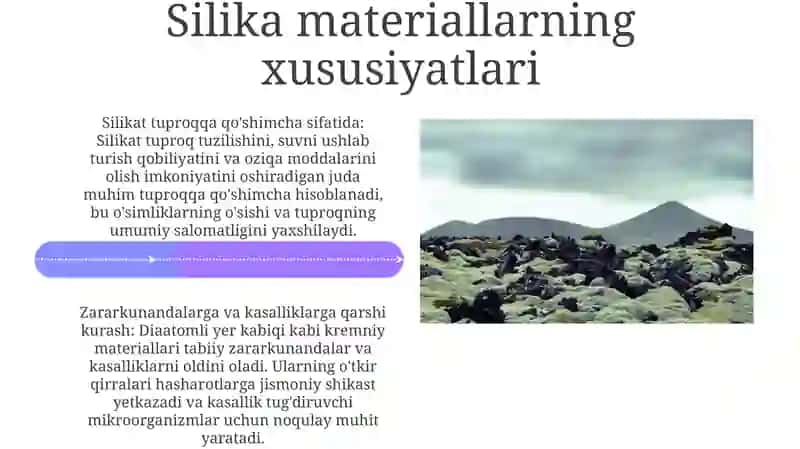 Silikat Materiallarning Qishloq Xo'Jaligidagi Ahamiyati 4