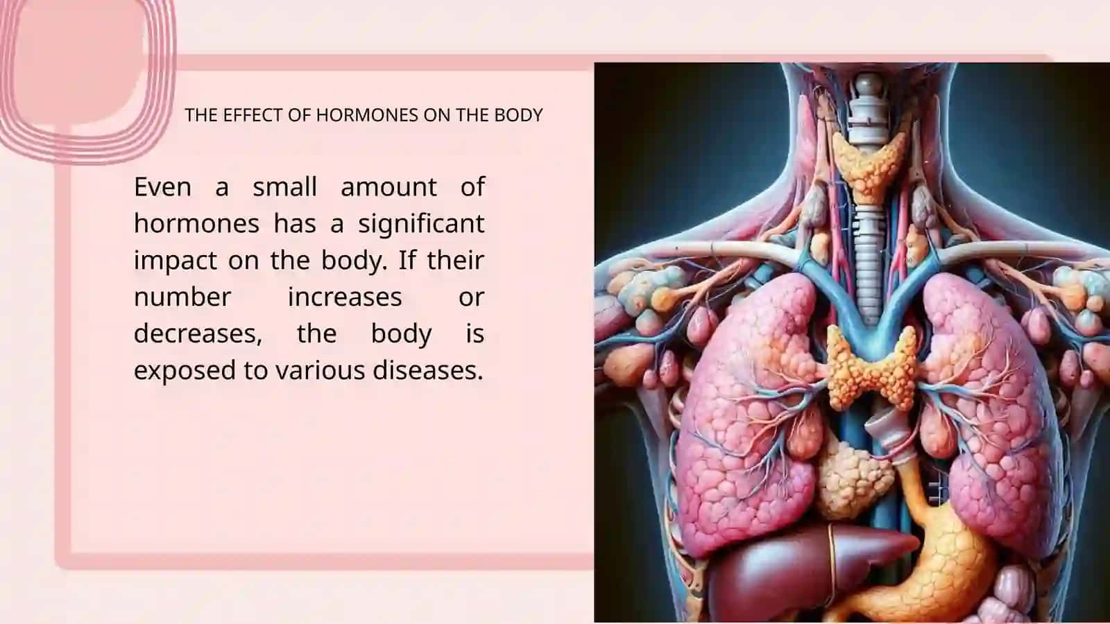 ENDOCRINE SYSTEM 4