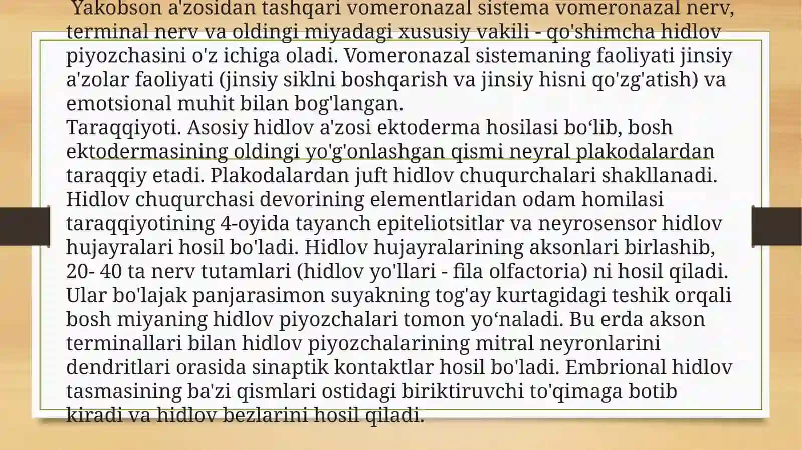 Sezgi a’zolari 4