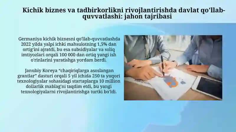 Kichik biznes va tadbirkorlikni rivojlantirishni davlat tomonidan qo'llab quvvatlanishining xorij tajribasi 4
