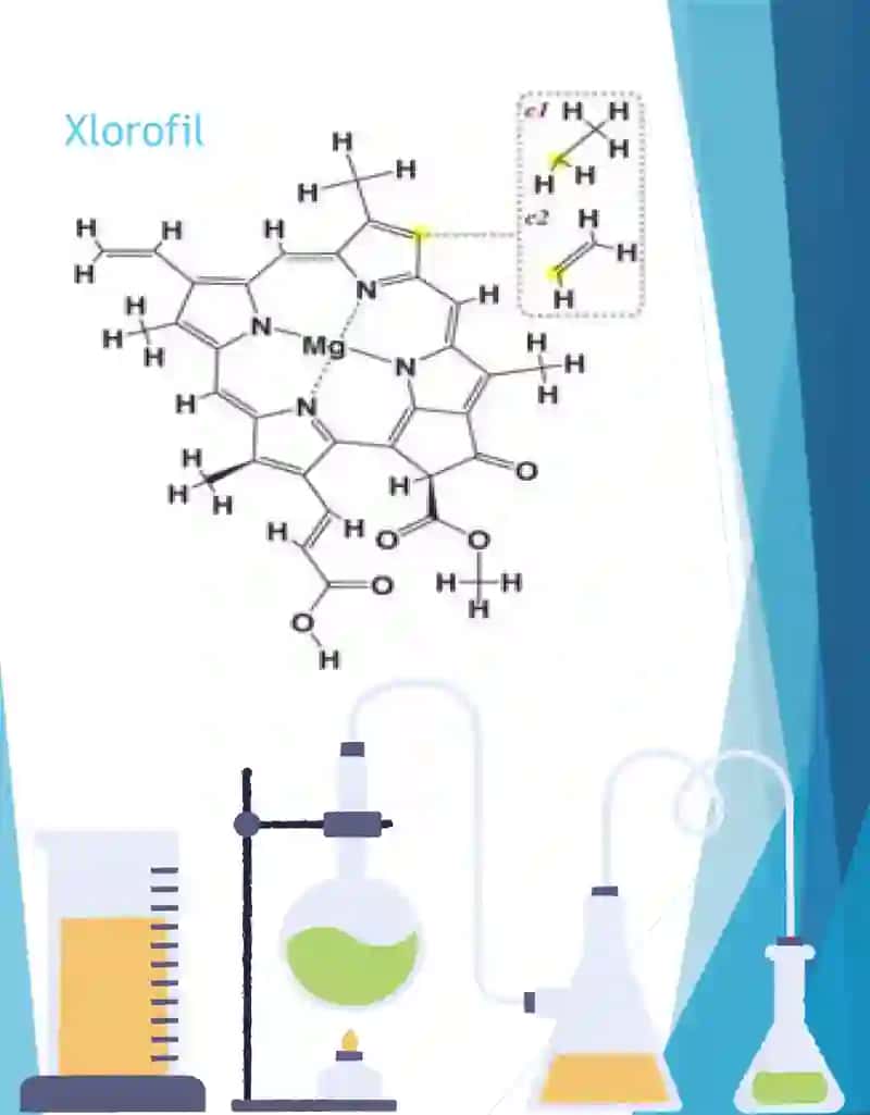 Xlorofil VA Gemoglobin 4
